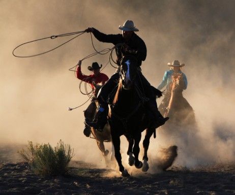 Image result for roundup cowboy" Image result for roundup cowboy"