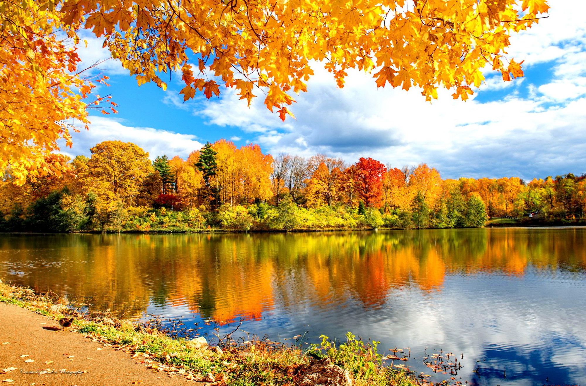 Image result from https://jooinn.com/river-autumn-reflections.html Image result from https://jooinn.com/river-autumn-reflections.html