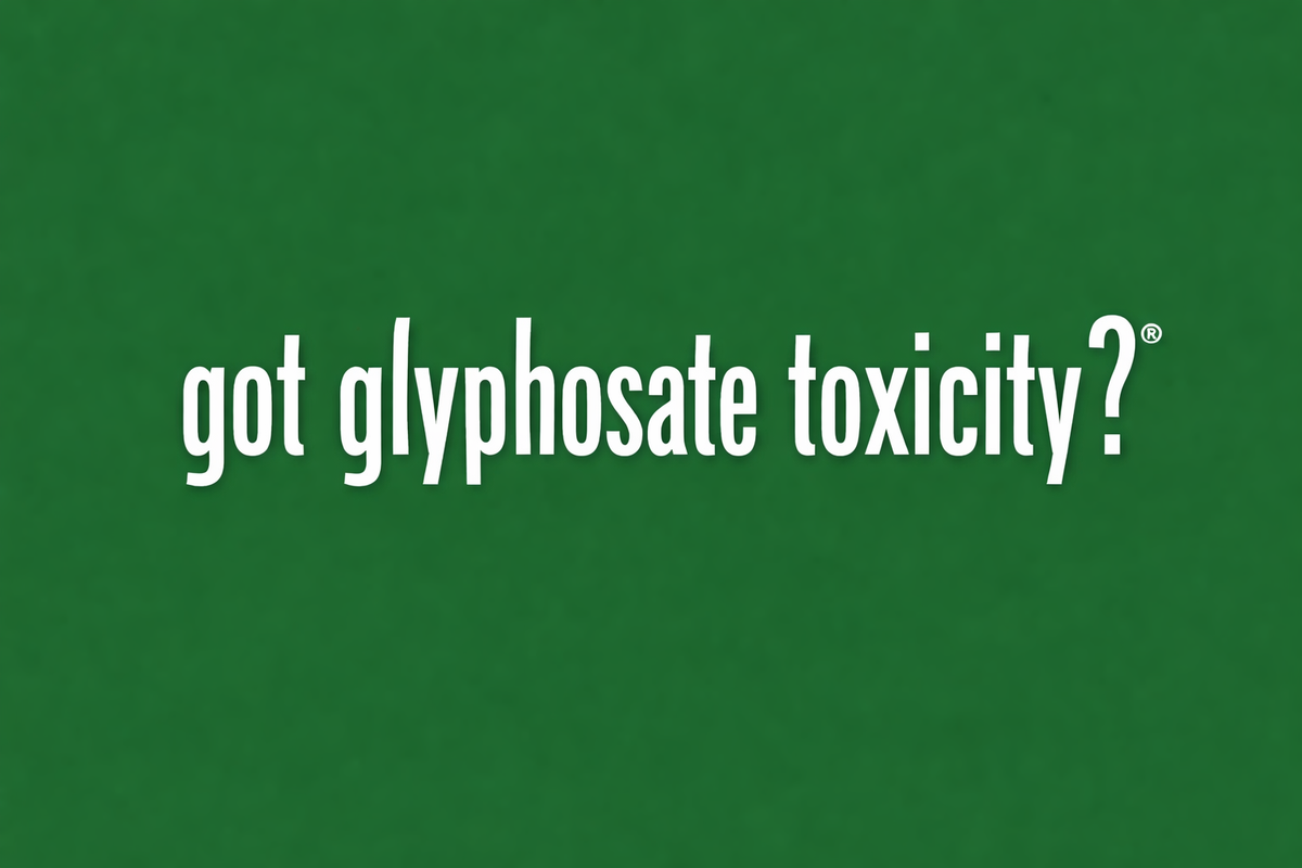 Got Glyphosate Toxicity?