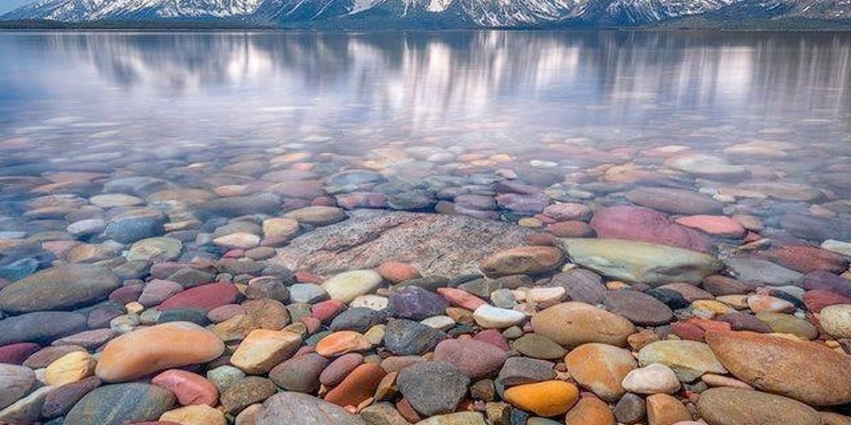 Selectivity and Silence