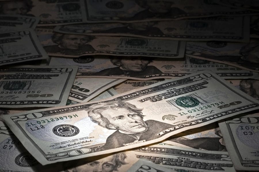 Examining Fiscal Sponsorship