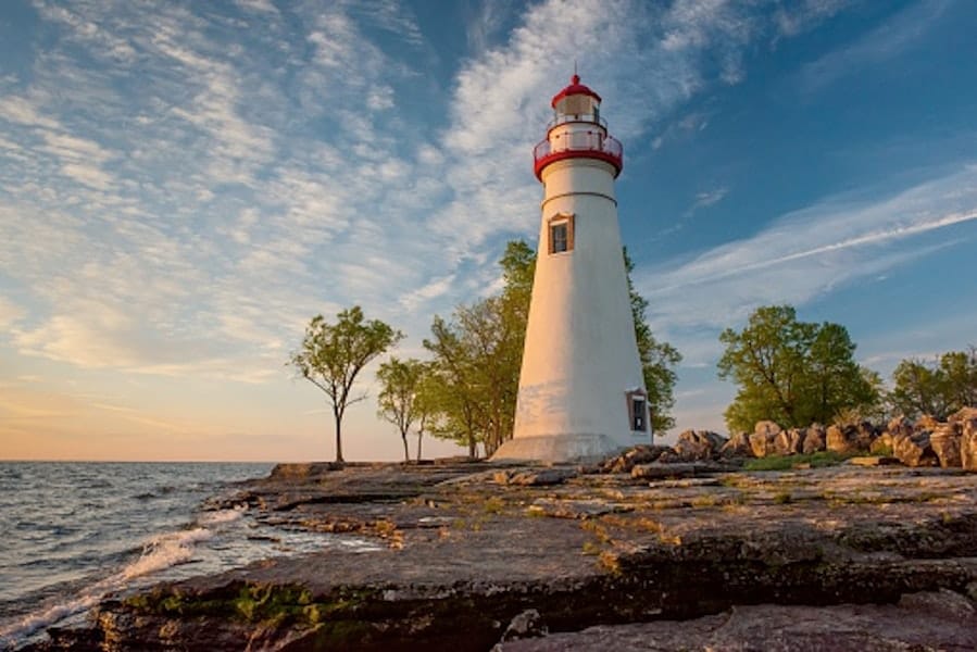 Preprints, the Dawn, and Marbleheads