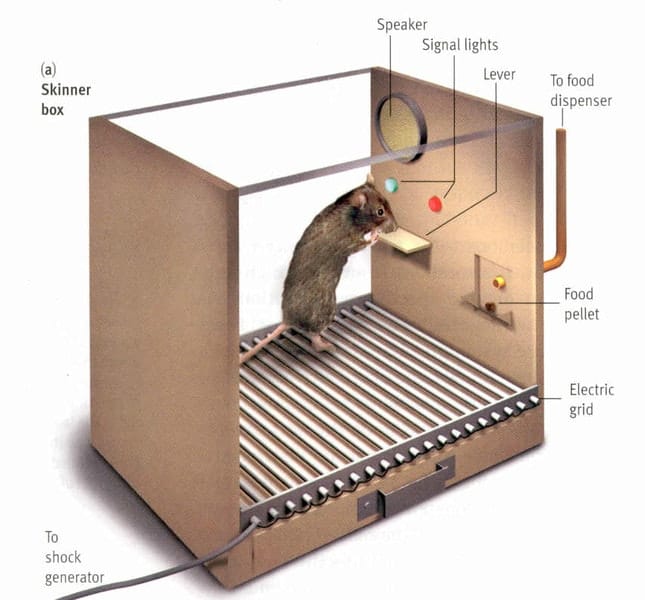 Can We Break Out of the Skinner Box?