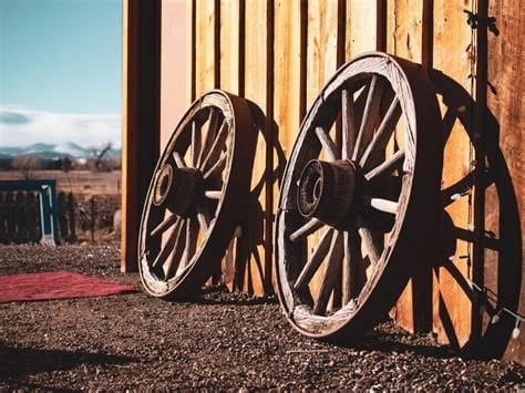 PeerJ Adds to the Wheel It's Reinventing
