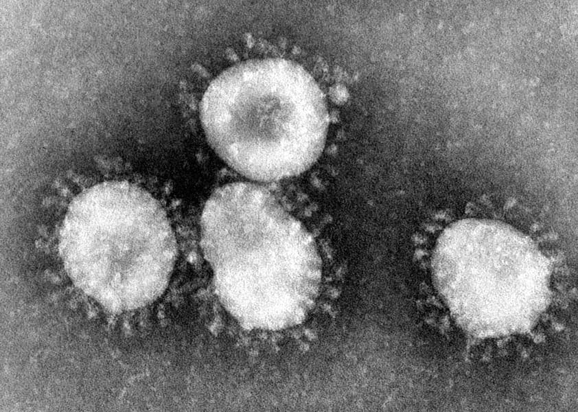 Disease in the New Political Climate