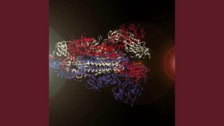 Friday Song: Hearing the Coronavirus