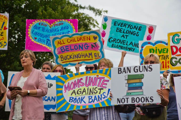 They Come for the Libraries