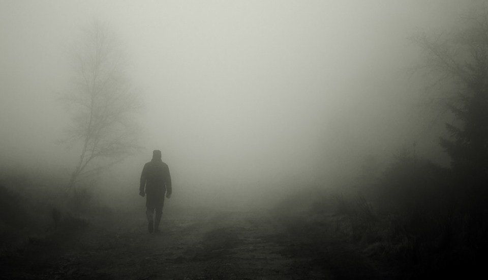 Disease and the Fog of Misinformation