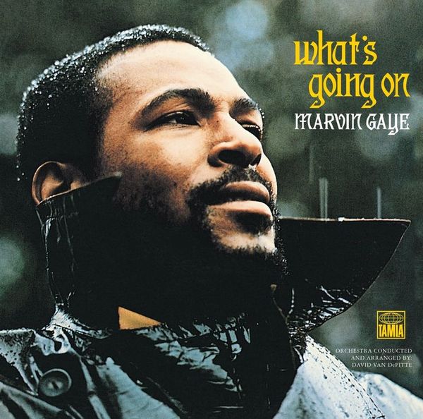 Friday Song: “What’s Going On”