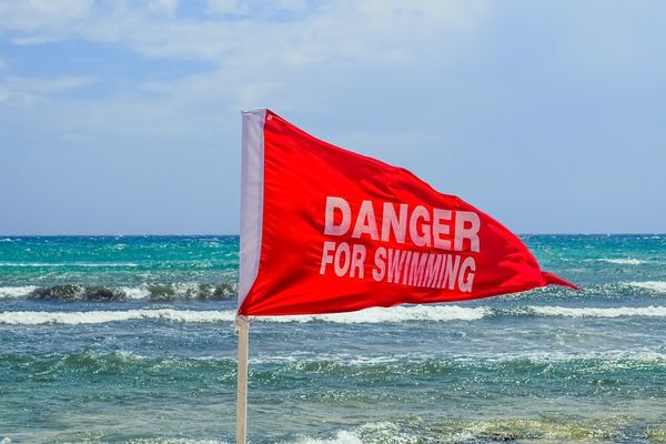 Preprint Studies’ Red Flags