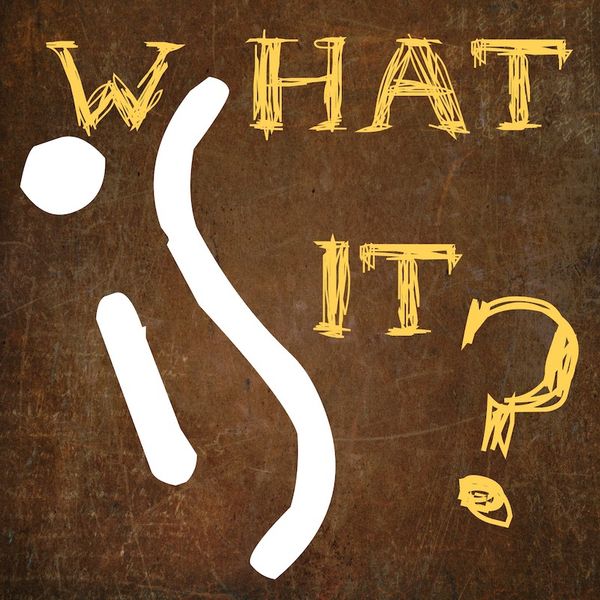 What Is a Preprint Now?