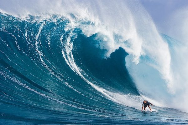 Facing a Wave of OA Closures?