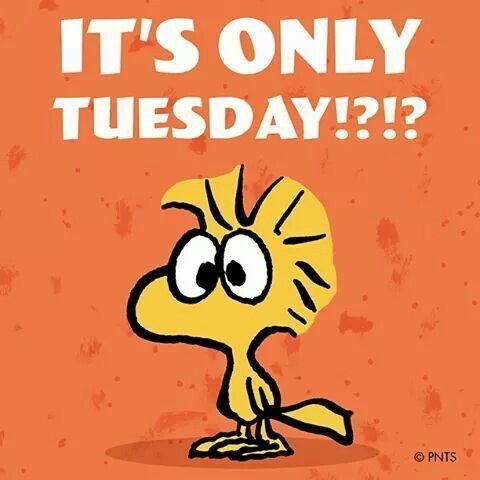 Another Few for Tuesday