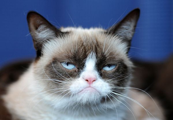 Grumpy Old Tech “Optimism”
