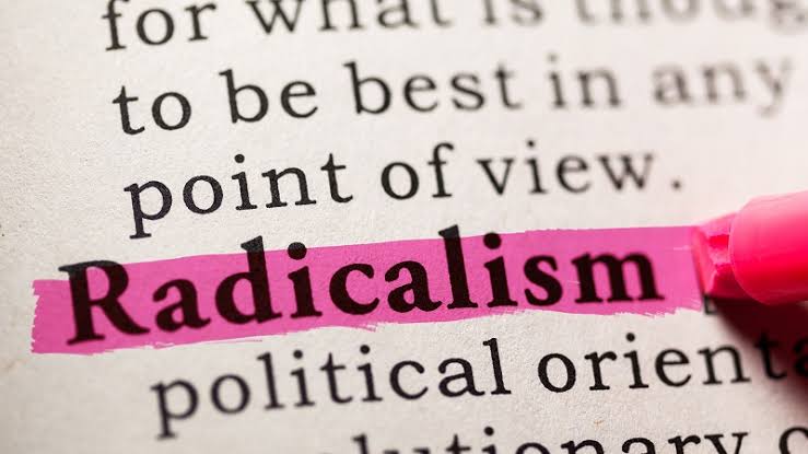 The Radicalism Is the Point